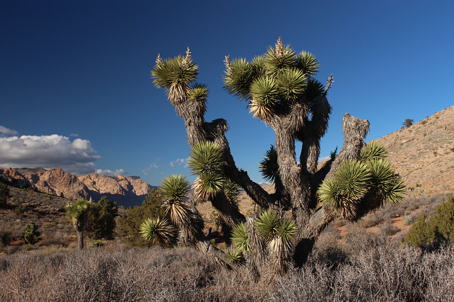 Look but don't touch!