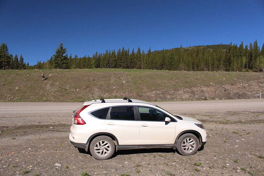If needed, toilets can be found at nearby Etherington Creek campground.