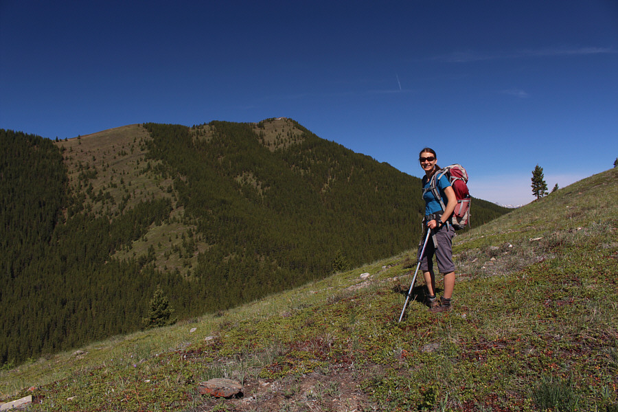 More than just a forested bump!