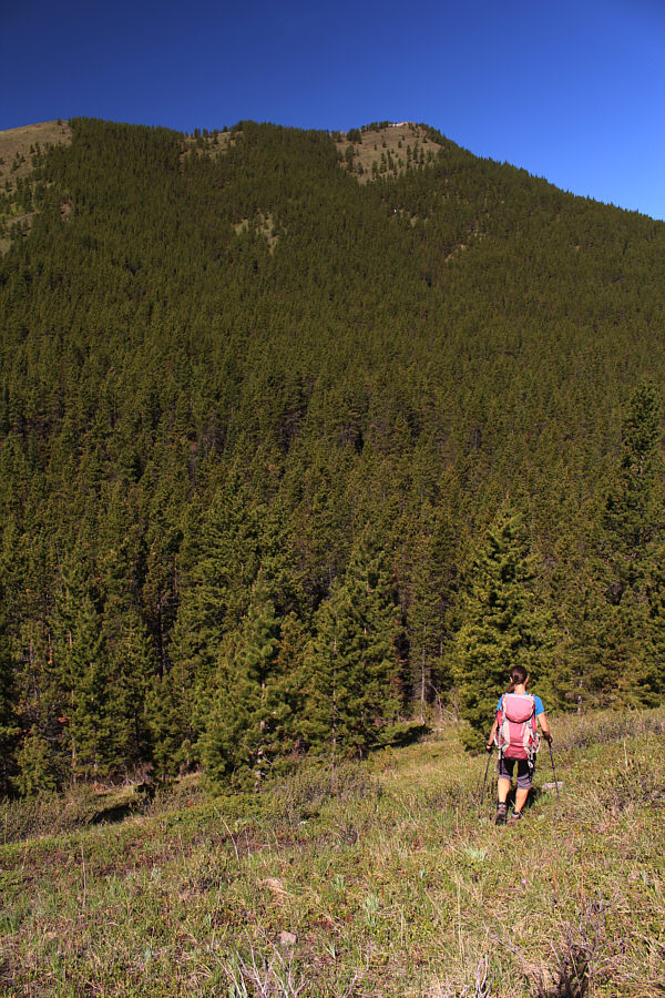 Having to regain all this elevation loss sucks, but it's really not that bad.