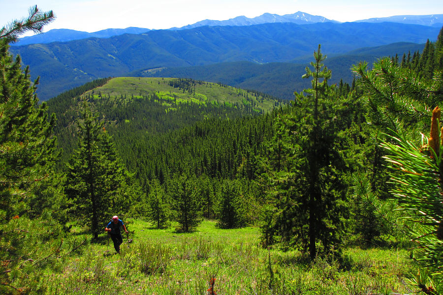 Working hard grinding up this slope!