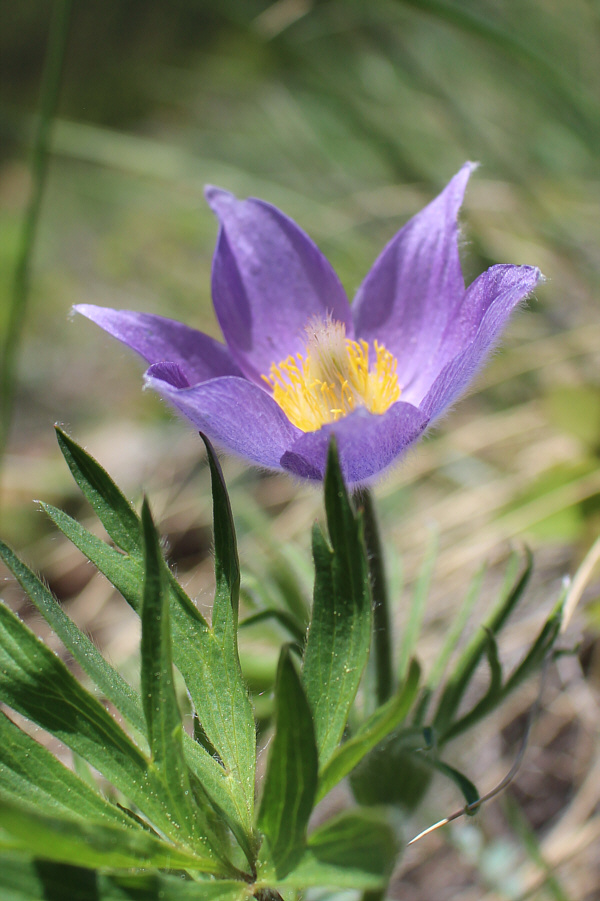 Spring is definitely here!