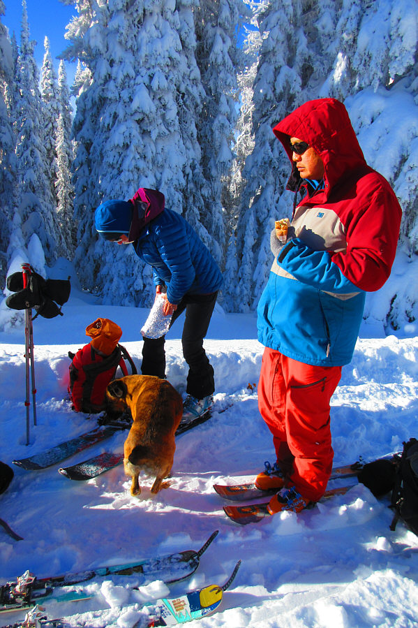 I gave Ruthie a bit of my sandwich!