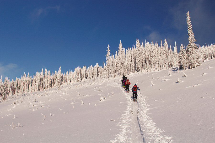 It's a shame we didn't get to ski down this slope!