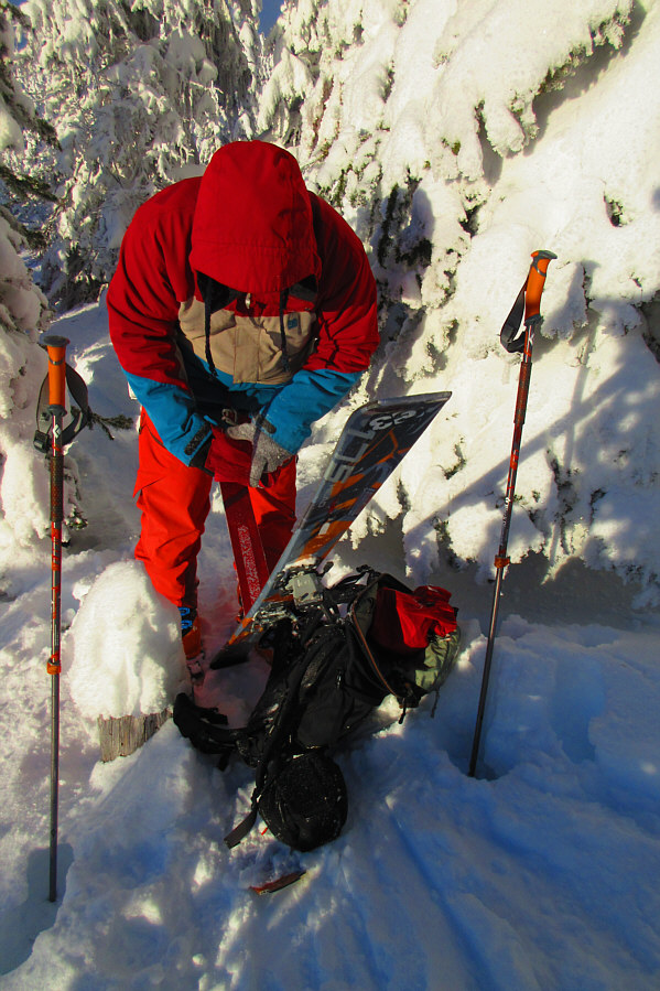 I later stumbled here and nearly got trapped in the tree well on the right!