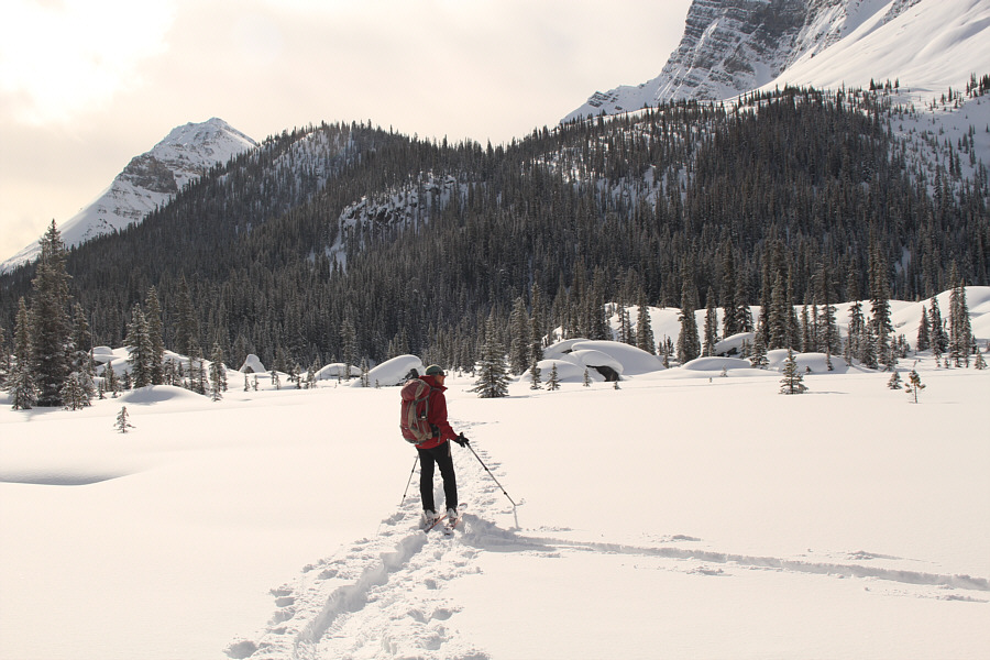 Looks impossible to ski up from here!