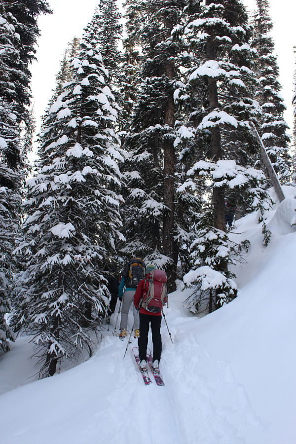We timed our break just right to let this group pass us!