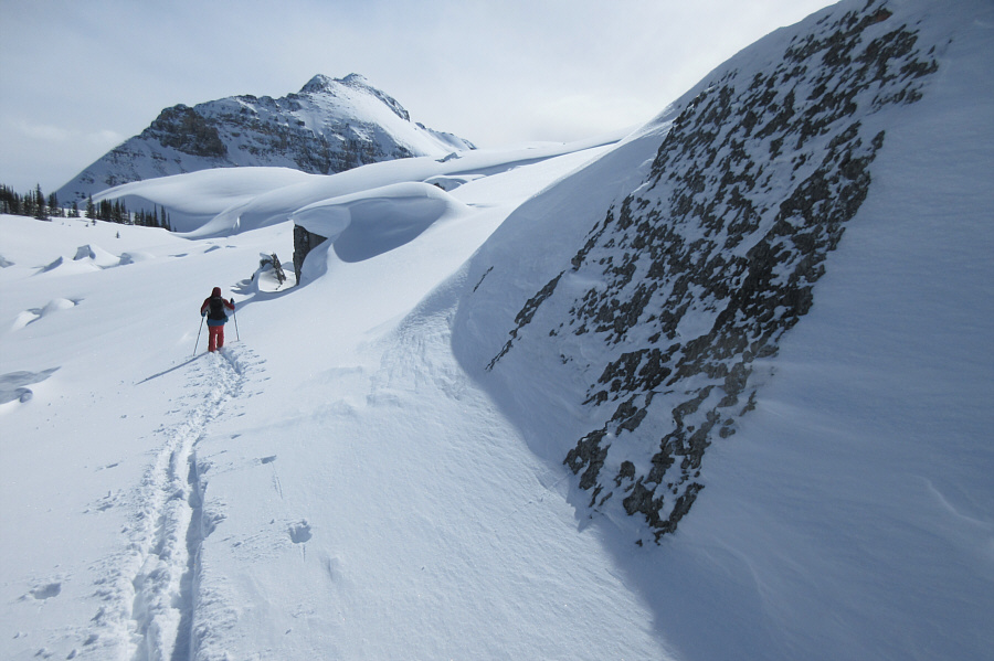 Proof that I do break trail...once in awhile!