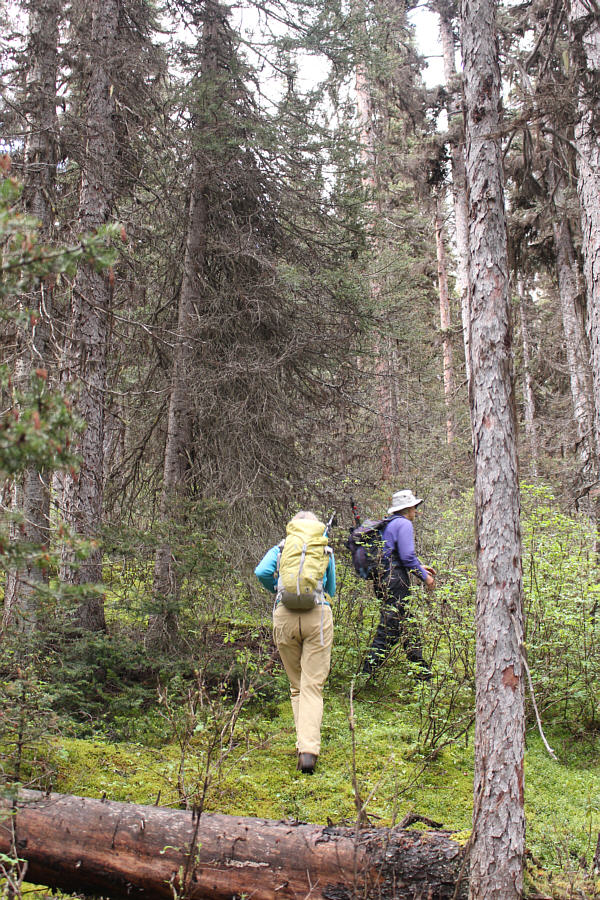 Don't expect much in the way of flagging or a beaten path!