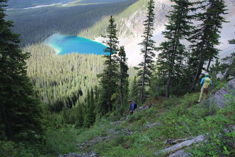 The path doesn't last long...