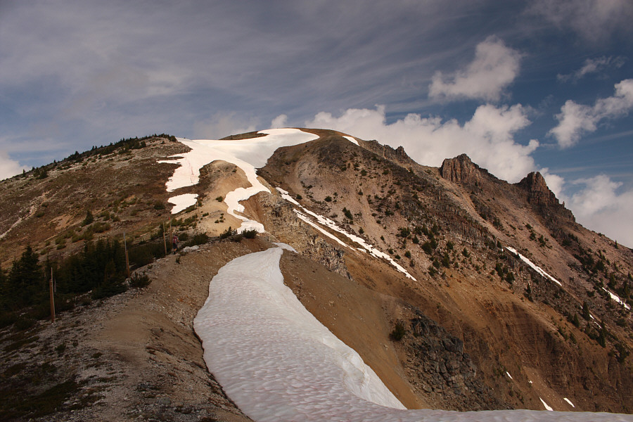 Ozone stinks...literally!