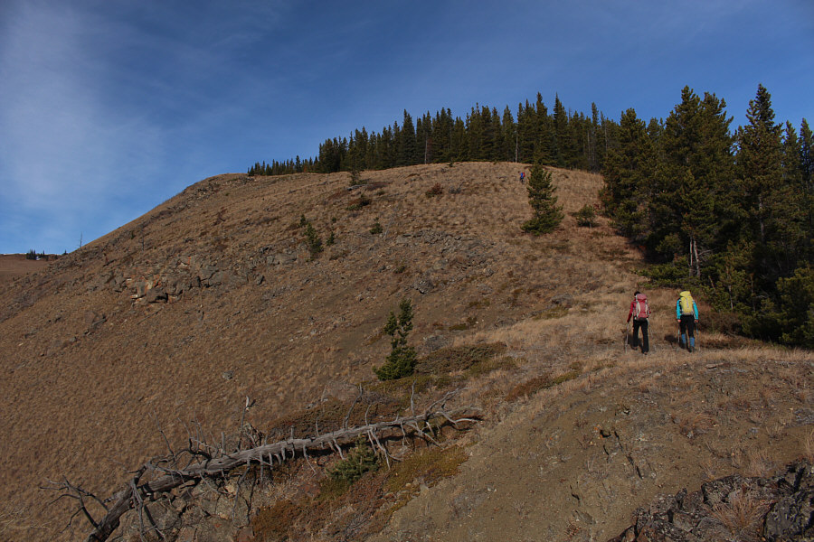 Guess who is the slowpoke of the group...