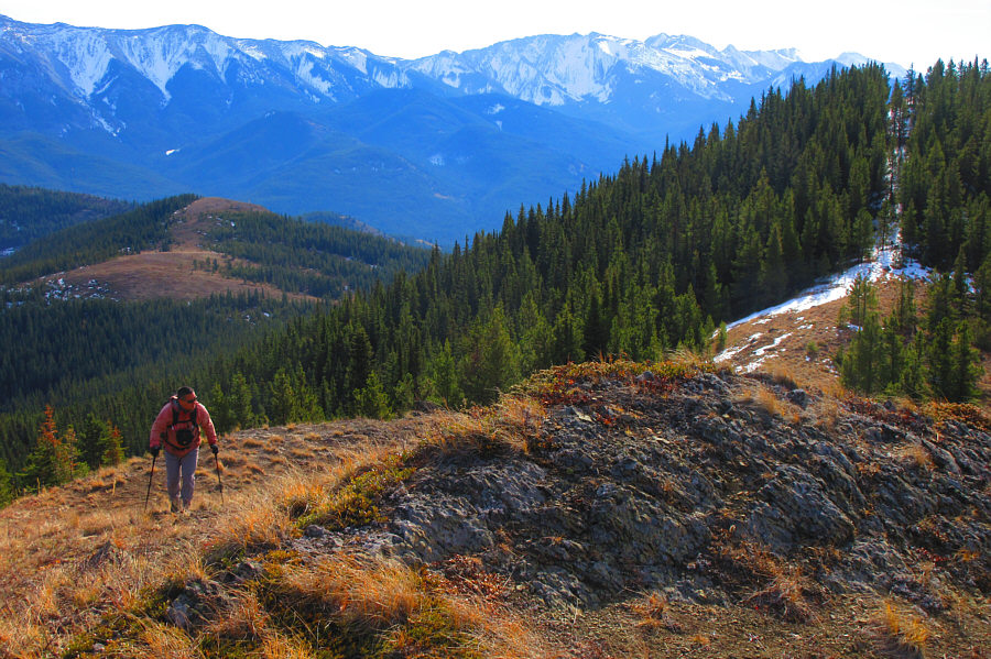 That's enough up-and-down for today!