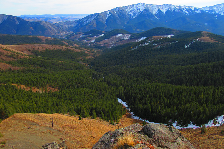 Going back this way was worth a shot!