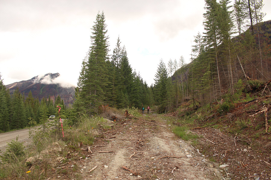 Maybe a mountain bike would help...but only on descent!