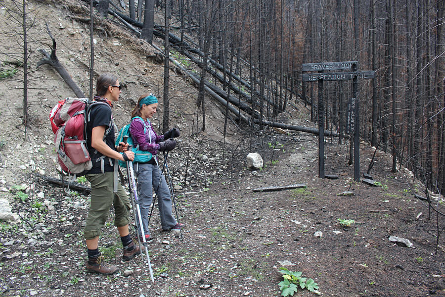 So I guess there's no toilet here...