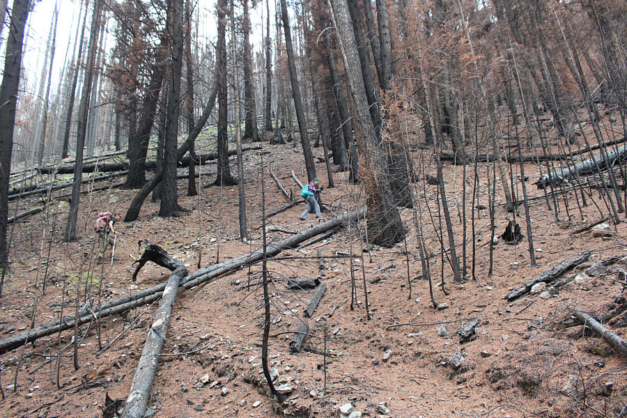 And it's a bloody steep climb too!