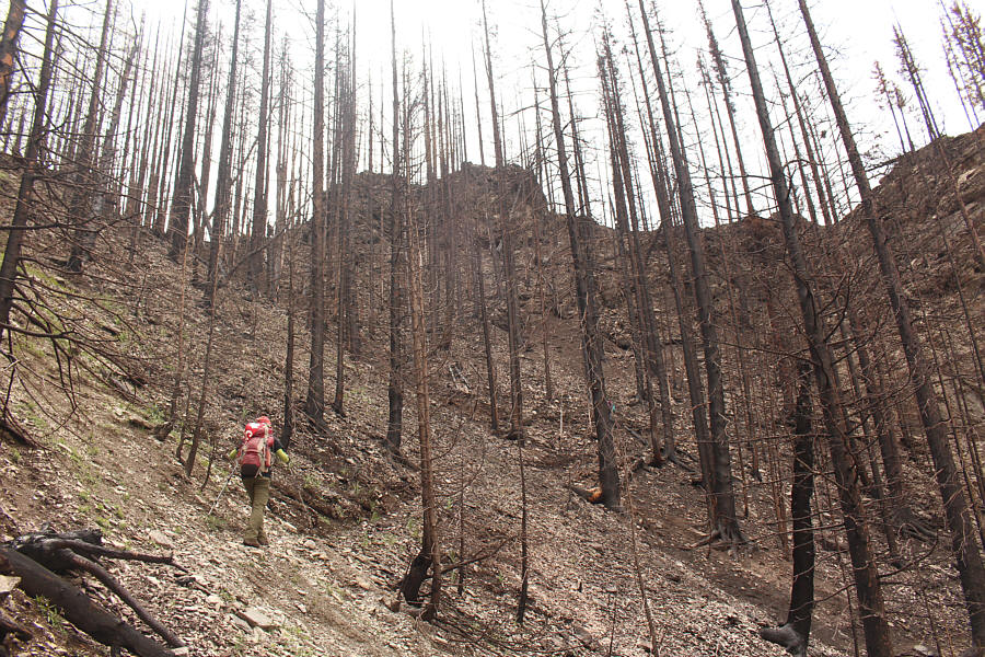 Back to just another dull plod...and loving it!