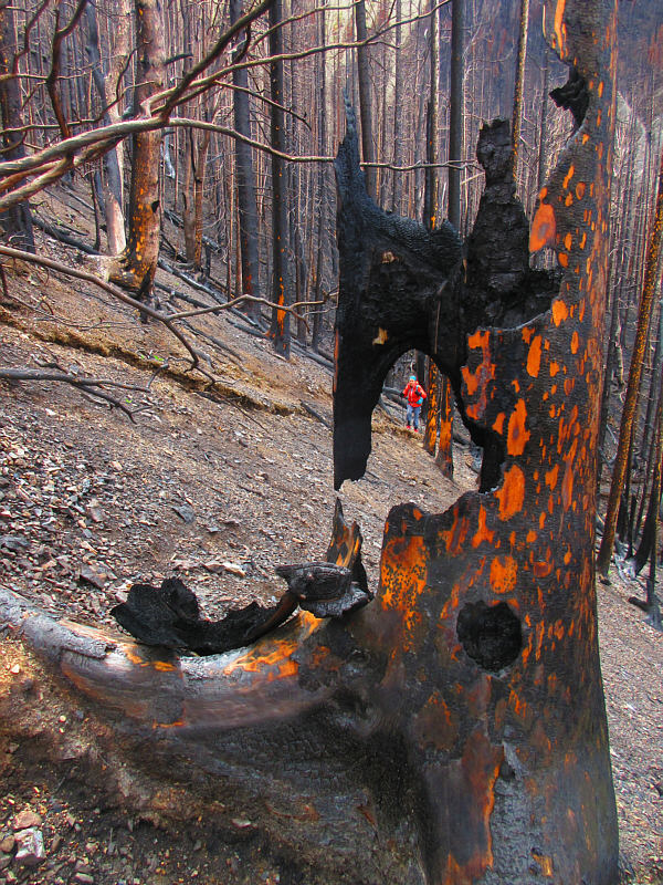 Just a fantastic photo by Zosia!