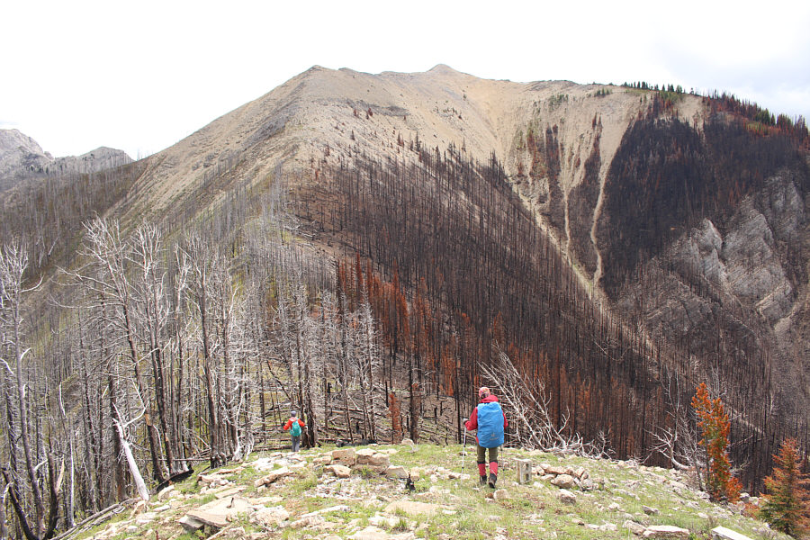 Had the weather been nicer, we would have continued to the higher point on the ridge.