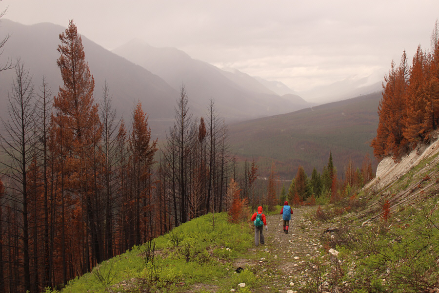 Good thing we quit while we were ahead; it's raining.