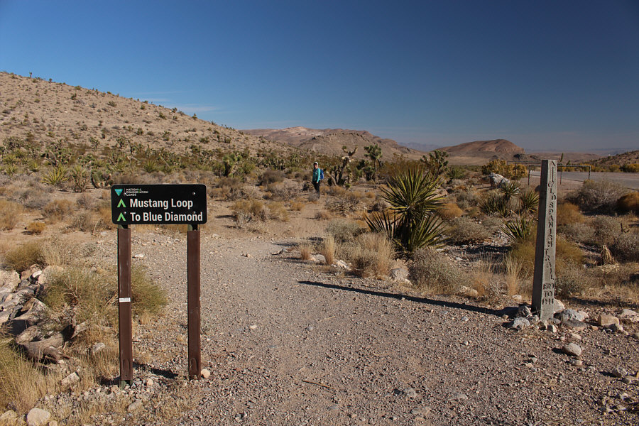 It's best to leave the trails for the mountain bikers!