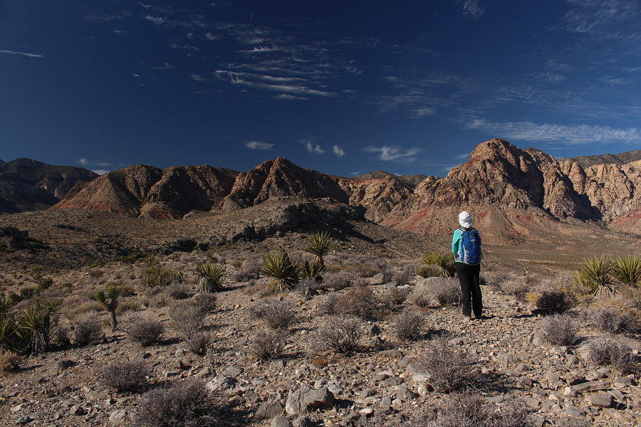 Looks doable, I think...