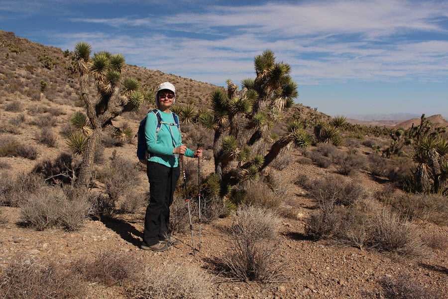 Okay, let's go for lunch!