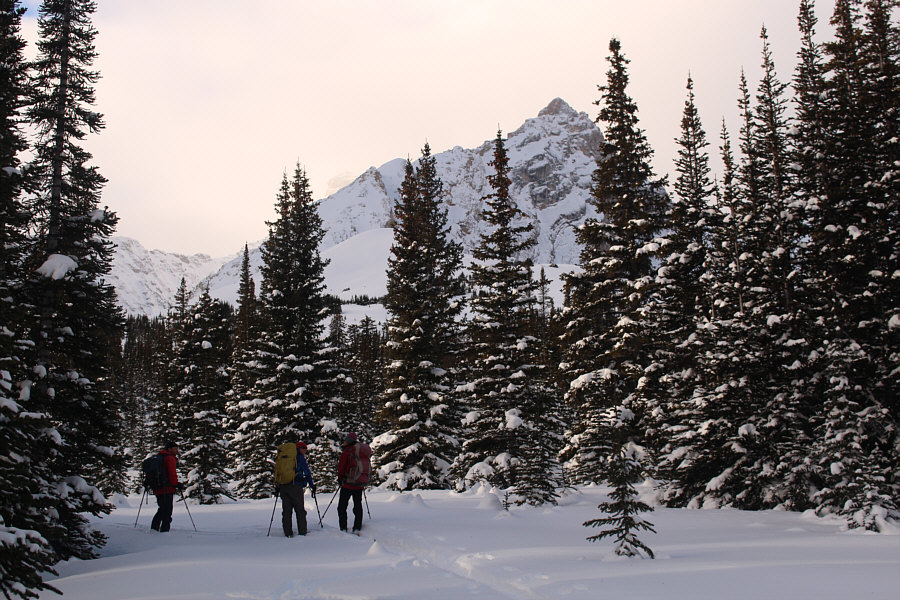 Yeah, we're not climbing up there today!