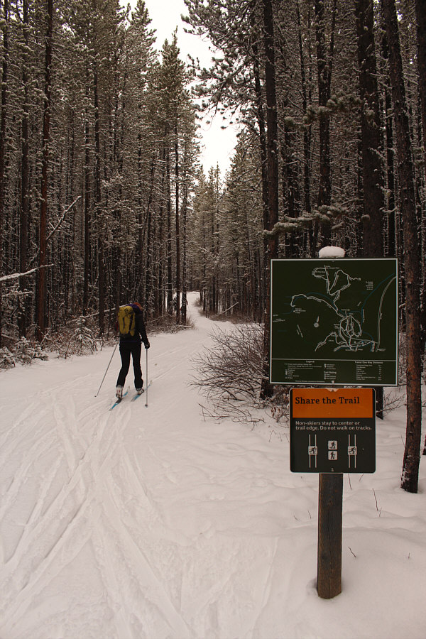 Gee, I can't imagine anyone snowshoeing up Skogan Pass trail. It's boring enough on skis!