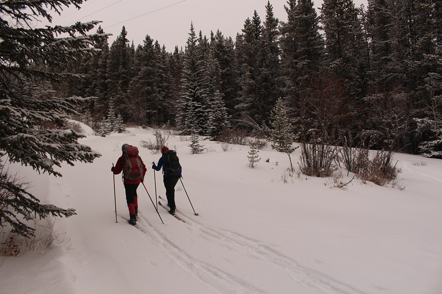 Looks like we're breaking trail from here...