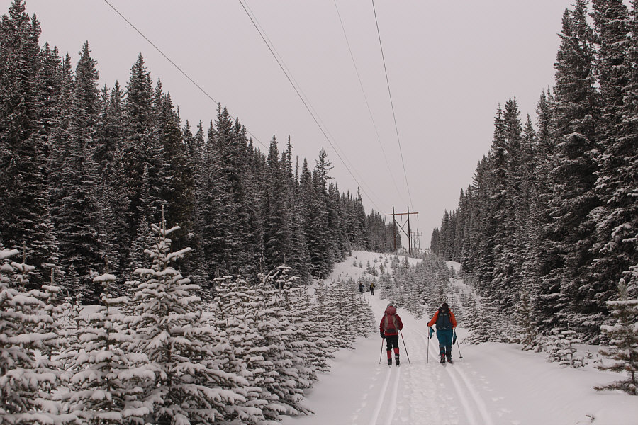 Third verse, same as the first!