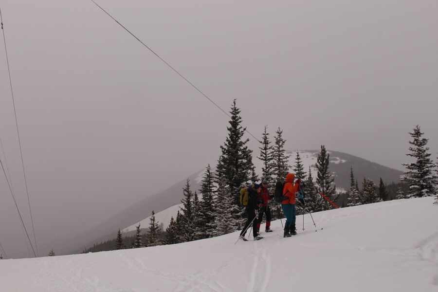 Why did I get out of bed this morning??