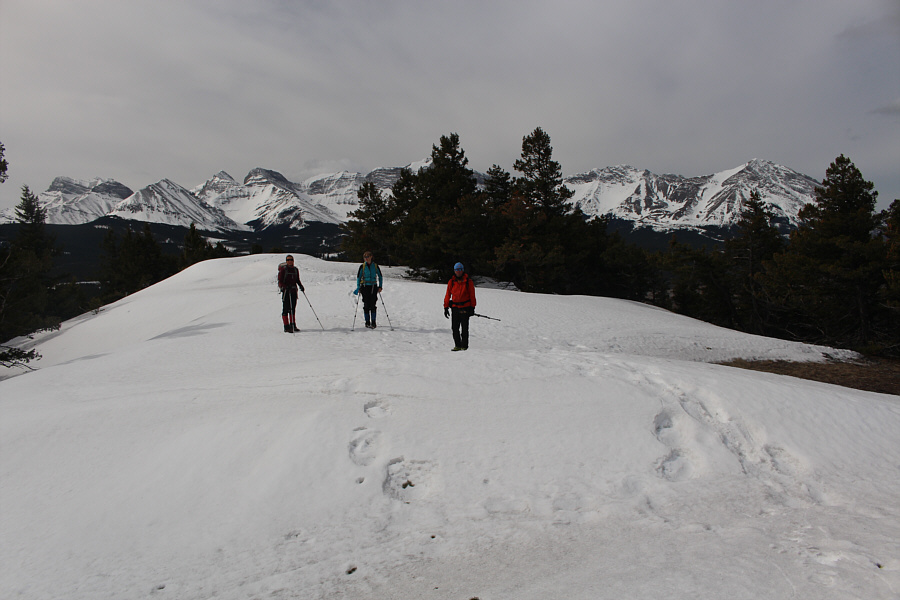 We could have skied this!