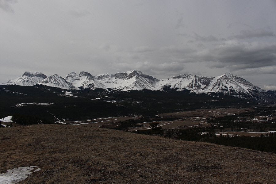 Maybe I'll start climbing a few of these next year...