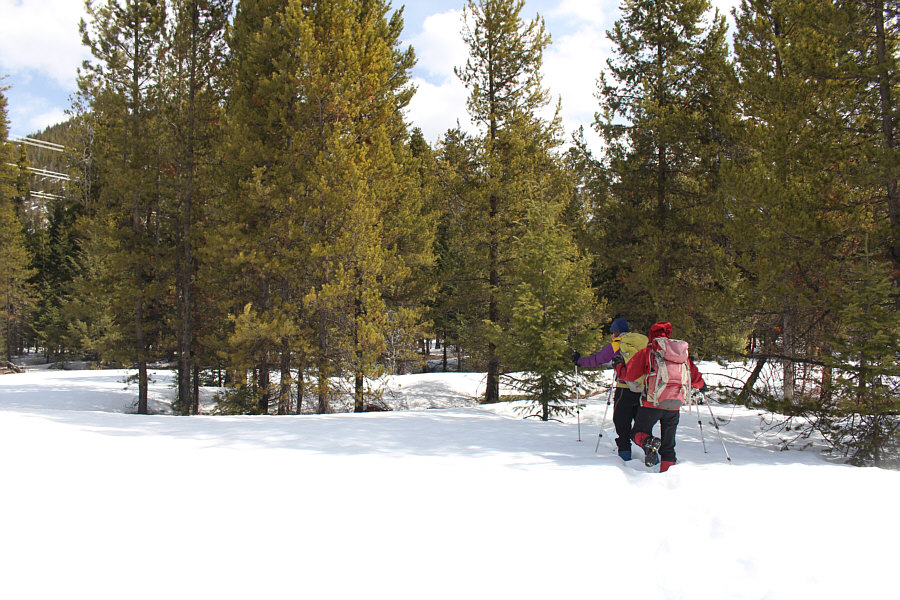 Okay, this kinda sucks...