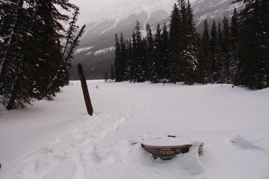 You're gonna need a bigger boat!