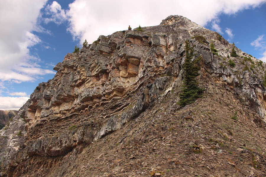 Raff has a lot of patience!