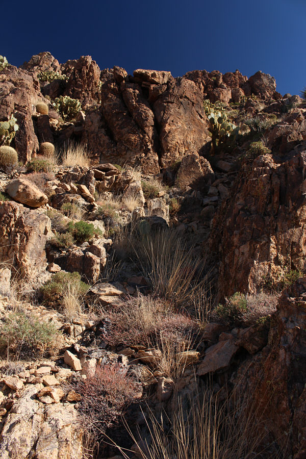 Not too steep, but the rocks are horribly loose!