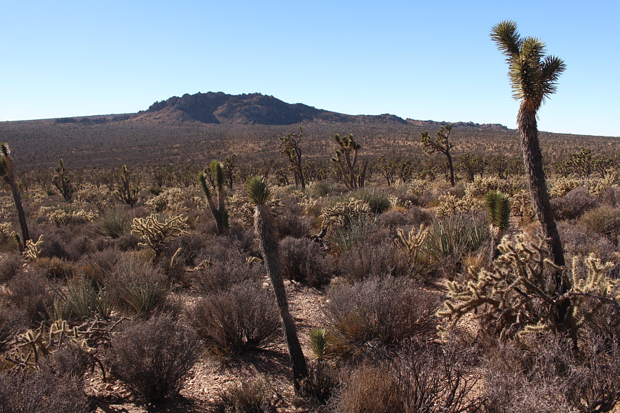 It's farther away than it looks!