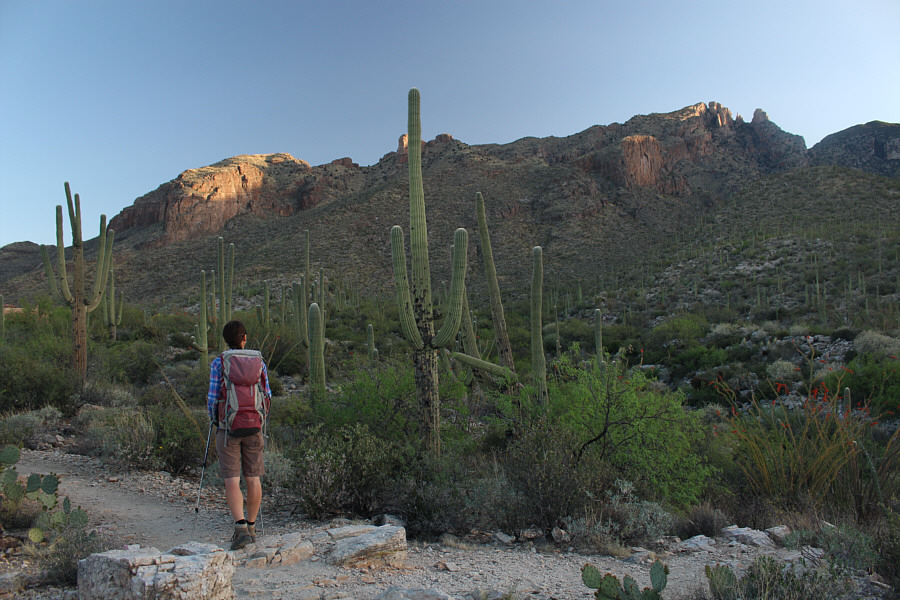 Yep, it sticks up like a sore thumb...or finger!