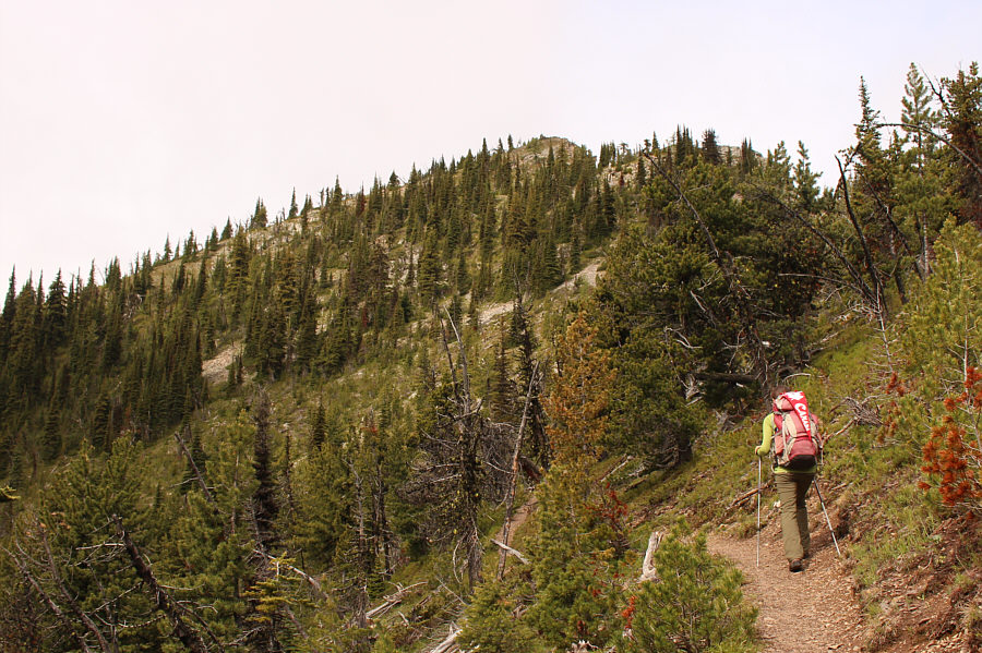 Despite the easy trail, the lookout is still a good 400-metre ascent from the trailhead!