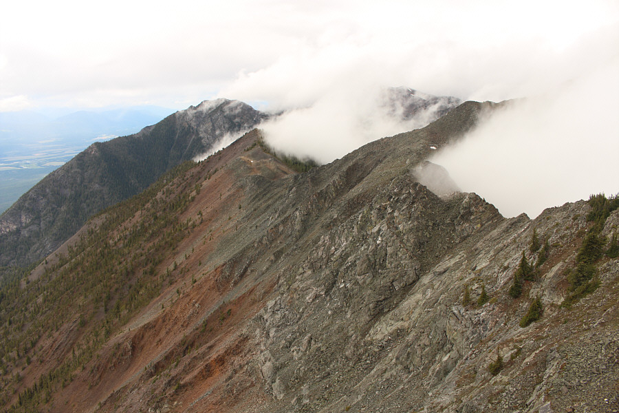 The Science Guy rears his ugly head again!