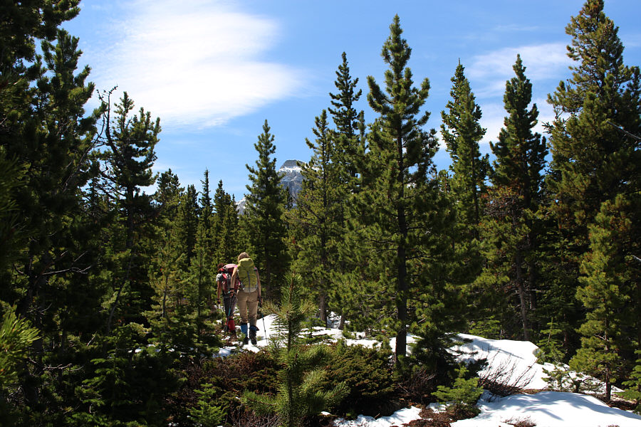 We're not out of the woods just yet...