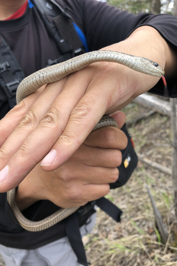 Did you fall out of a plane?