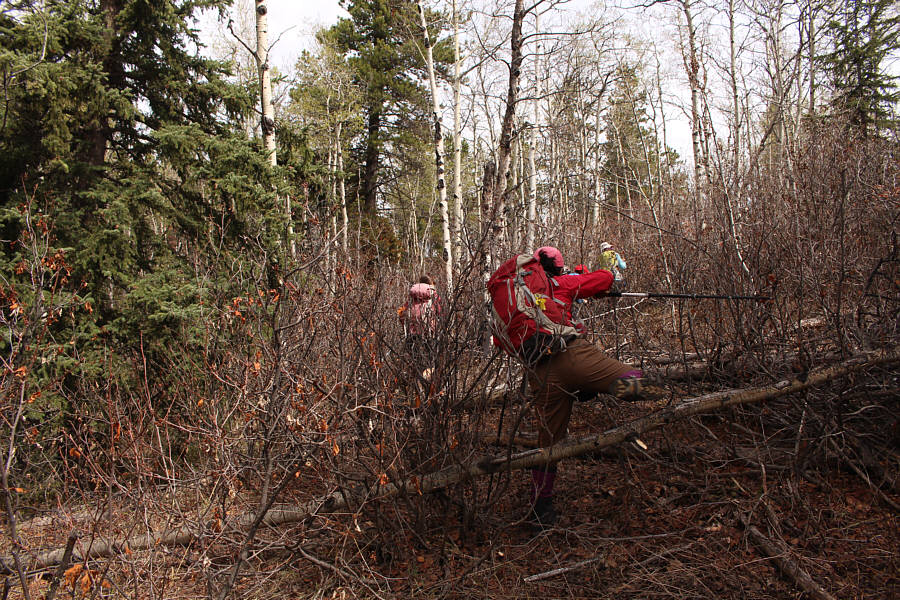 It was only a bit of misery but totally avoidable!