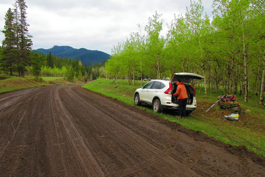 Not the best road conditions for driving!