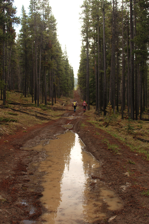 Not the best road conditions for biking!