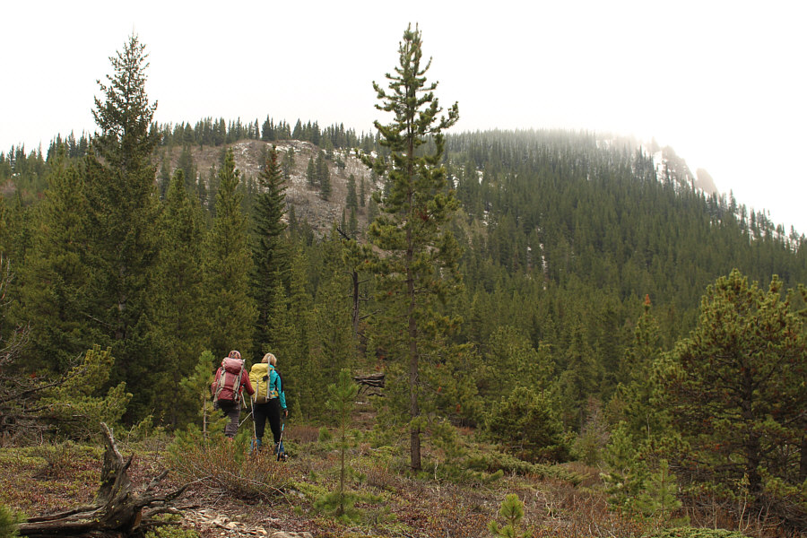 Hmmm...that looks like a lot of snow still up there...