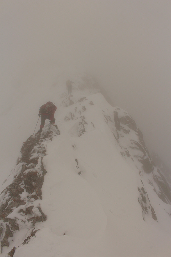 Looks like we're climbing up Everest!